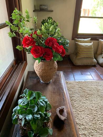 Uma imagem contendo planta, mesa, janela, interior

Descri��o gerada automaticamente