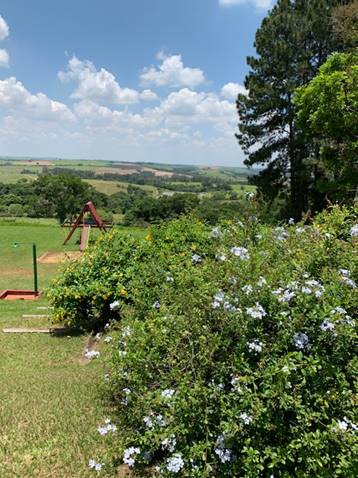 Uma imagem contendo �rvore, ao ar livre, planta

Descri��o gerada automaticamente