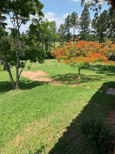 Uma imagem contendo �rvore, grama, ao ar livre, planta

Descri��o gerada automaticamente