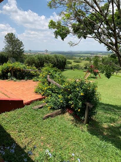 Uma imagem contendo �rvore, ao ar livre, planta

Descri��o gerada automaticamente