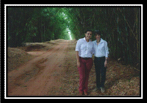 fazenda niagara1234.jpg