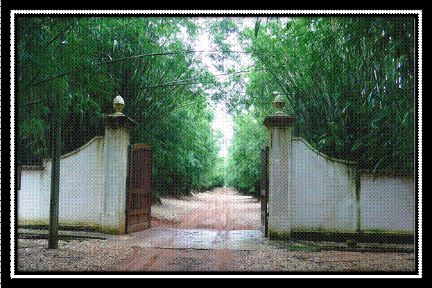 fazenda niagara12345.jpg