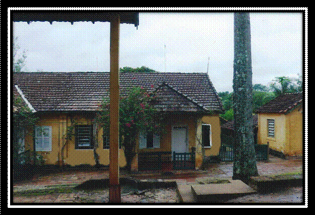 fazenda niagara13.jpg