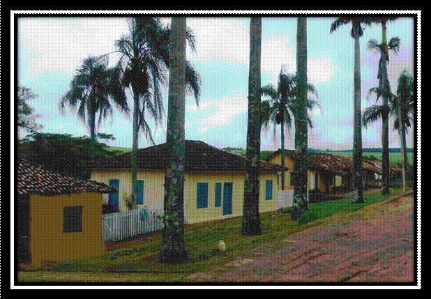 fazenda niagara14.jpg