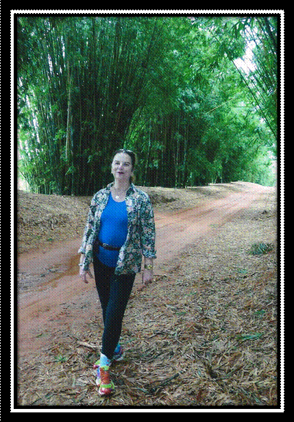 fazenda niagara1234567.jpg