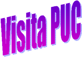 Visita PUC